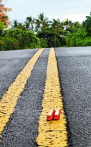 Photo of the Day: No place like home